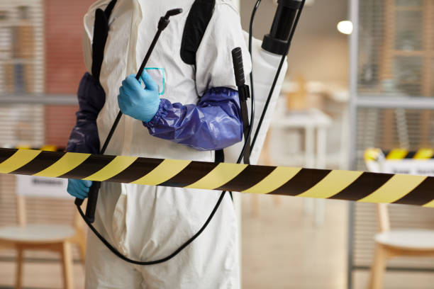 Professional Sewage Cleanup technician working in Mount Vernon, MO